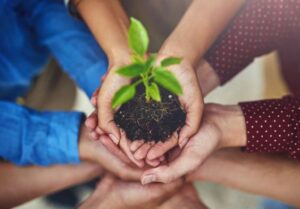 Fenntarthatósági verseny