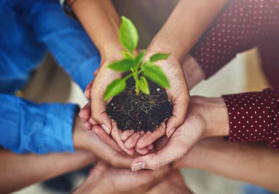 Fenntarthatósági verseny